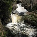 Lawrence Tully Photo 3