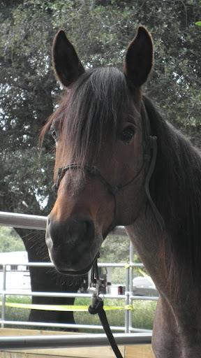 Cynthia Funk Photo 18
