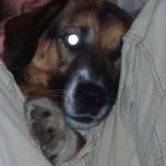 Rachael Chapman Photo 36