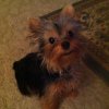 Brenda Todd Photo 1