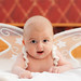 Samuel Sohn Photo 20