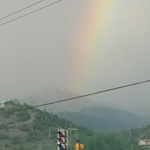 William Horton Photo 22