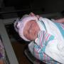 Ashley Lenz Photo 36