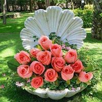 Anita Simon Photo 20