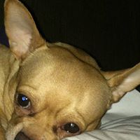 Glenda Wright Photo 37