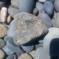 Rebecca Barbour Photo 12