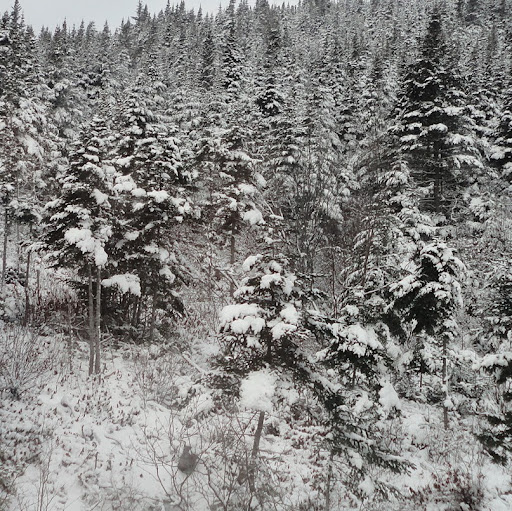 Colleen O'Keefe Photo 16