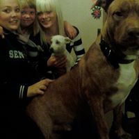 Peter Lange Photo 27 Peter Lange Photo 27