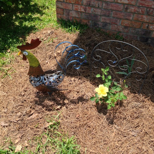 Carol Caraway Photo 5