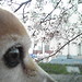 Kelly Cherry Photo 4