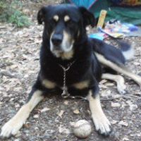 Charlie Dunham Photo 11