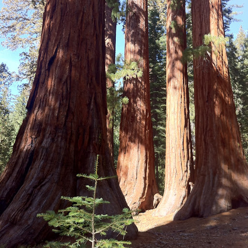 Scott O'Brien Photo 16