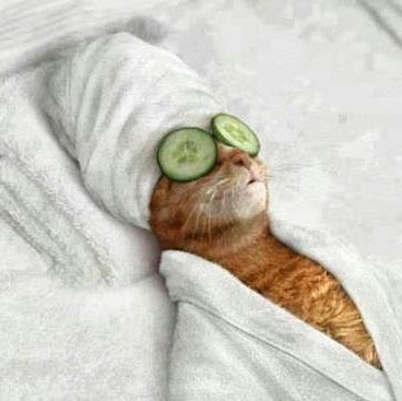 Jeanette Ryan Photo 11