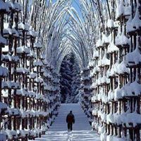 Janet Rowley Photo 14