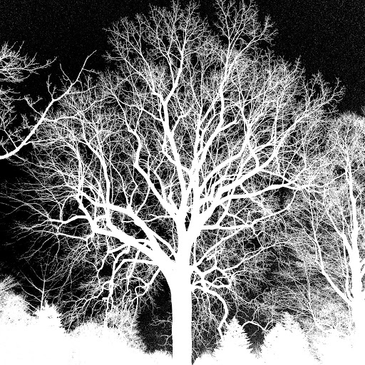 Aaron Weaver Photo 44