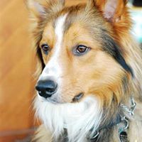 Michael Gerber Photo 61