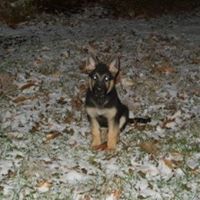 Nancy Chance Photo 21