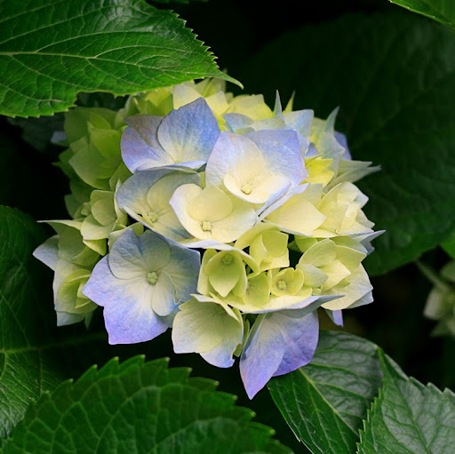 Stephanie Worley Photo 16