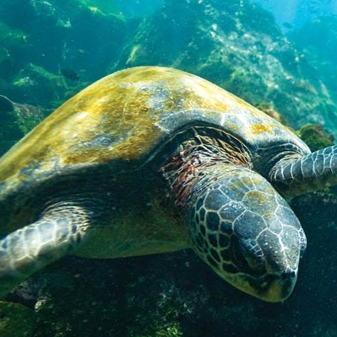 Kathy Simon Photo 31