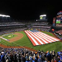 David Kaye Photo 10 David Kaye Photo 10