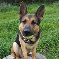 Jonathan Arnett Photo 8