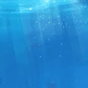 Samuel Turner Photo 29