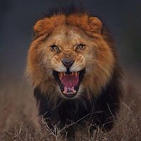 Israel Colon Photo 37