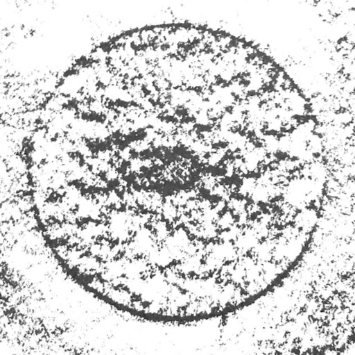 Robert Cosgrove Photo 34