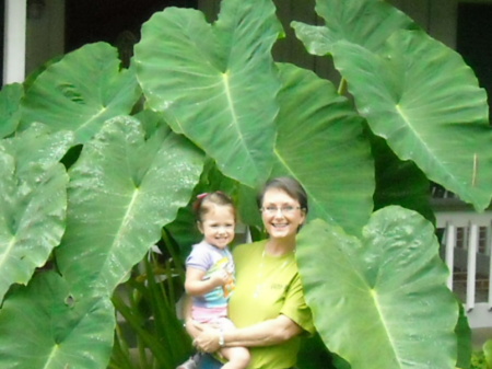 Joann Graham Photo 24