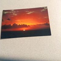 Steven Perkins Photo 14