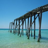 Cathy Mckay Photo 14