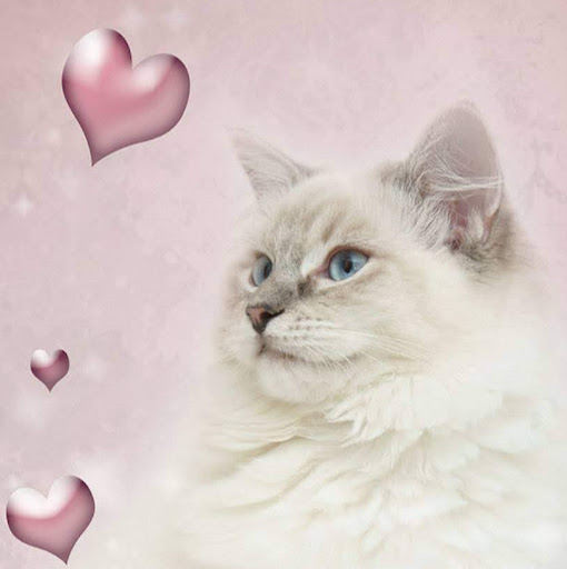 Ruth Mason Photo 4 Ruth Mason Photo 4