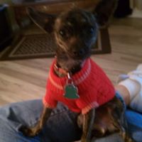 Jamie Kauffman Photo 28