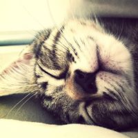 Spencer Nash Photo 12