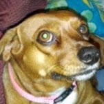 Joyce Miller Photo 16