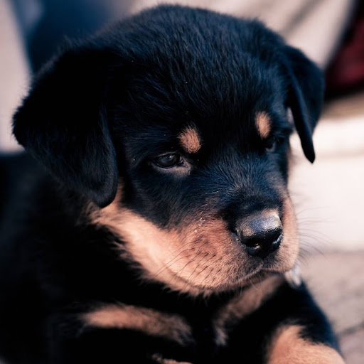 Christopher Hailey Photo 18