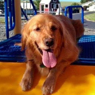 Meagan Evans Photo 25