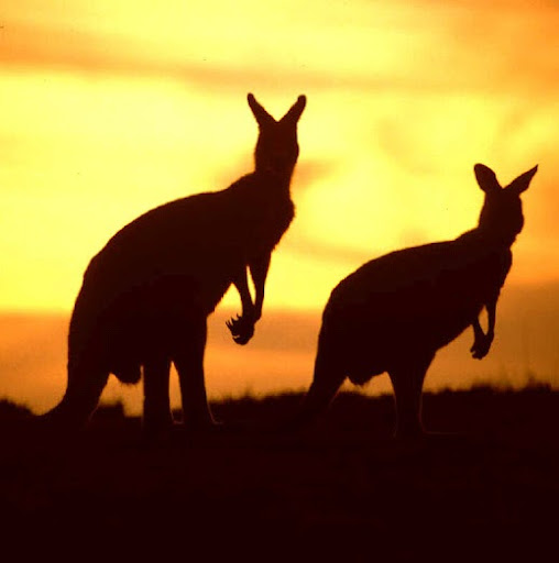 Kristine Hughes Photo 25