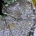 Candace Wood Photo 15