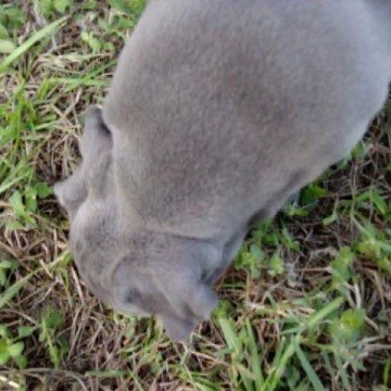 Tammy Webb Photo 34