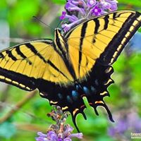 Janet Herman Photo 14