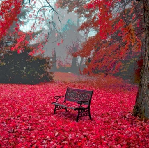 Ron Ritchie Photo 38