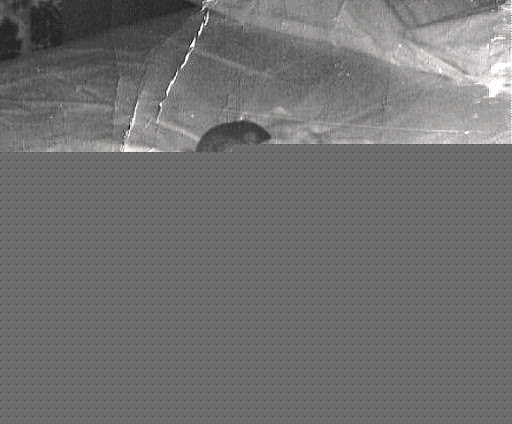 Vickie Tanner Photo 9