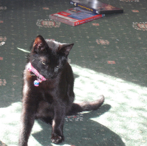 Catherine Bird Photo 9