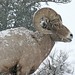 Katie Storm Photo 27