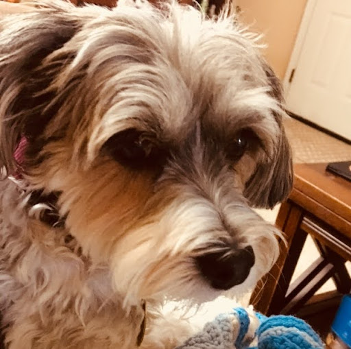 Joan Downey Photo 18