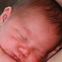 Traci Carlson Photo 30