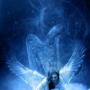 Ann Paul Photo 26
