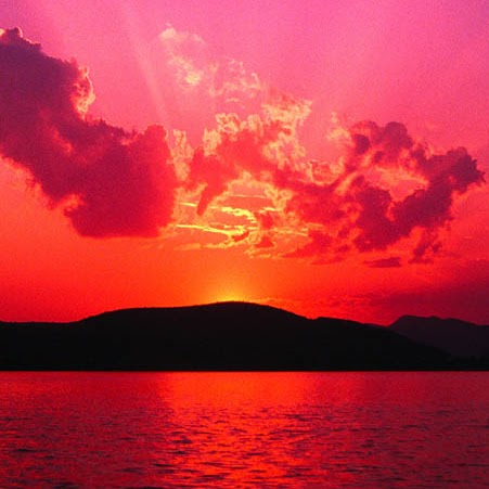 Michelle Conroy Photo 41