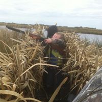 John Robichaux Photo 9